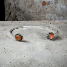 Load image into Gallery viewer, Adjustable Spiny Oyster Choker

